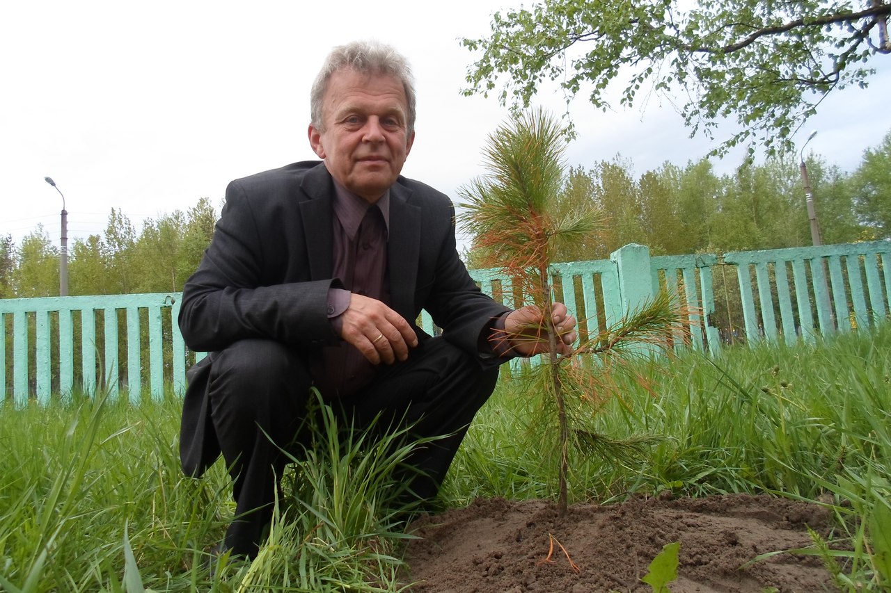 Тысячи саженцев для проекта выращивает пенсионер Андрей Аншуков