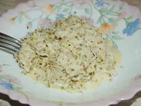 salat-iz-prorostkov