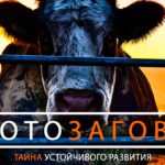 СкотоЗаговор: Тайна устойчивого развития